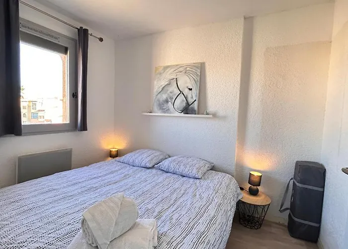 Appartement Le Barcares Avec Vue Sur Mer De Type T2 Location Arrivee A Partir De 15H Depart Maximum A 11H Location Du Samedi Au Samedi Juillet Et Aout